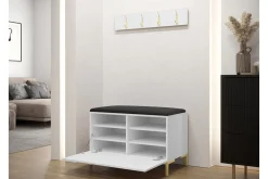 Ahsamin Hallmöbelset