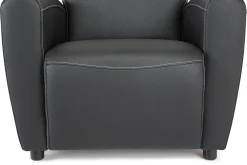 Aston Fåtölj Bonded Leather
