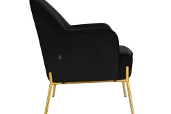 Attapulgus Loungefåtölj