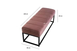 Bänk Wohnling sammet klädd modern vadderad elegant metallram Rosa