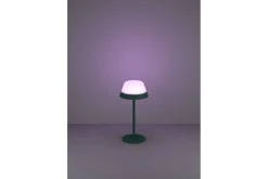 Bordslampa Eglo Meggiano Grön/Vit