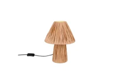 Bordslampa TRIO Anea