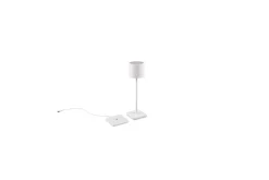 Bordslampa TRIO Fernandez Mattvit
