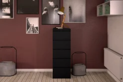 Byrå Lerna 40 cm 5 Lådor
