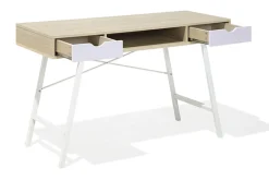 Clarita Skrivbord 120 cm med Förvaring Hylla + 2 Lådor