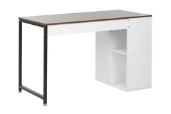Dese Skrivbord 120 cm med Förvaring