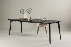 Ellis Matbord 230x85 cm