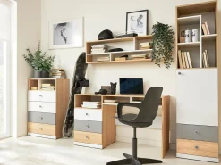 Elvaren Möbelset för Kontor