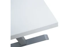 Ergosum 2 Skrivbord 160 cm Höj-och Sänkbar