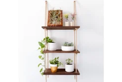 Evila Rephylla Trä