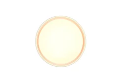 Felis LED Plafond 40 cm mattvit