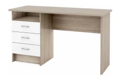 Function Skrivbord 120 cm