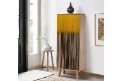 Gelsgan Skoskåp 50 cm