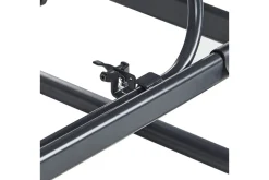 Hammock Marsciano