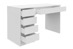Harland Skrivbord 120 cm med 5 Förvaringslådor
