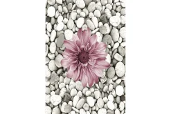 Homefesto Matta 60x100 cm