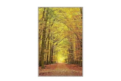 Homefesto Matta 80x120 cm