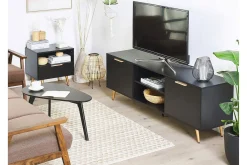 Indio TV-bänk 166x40 cm