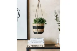Inomhuskruka Ruffe
