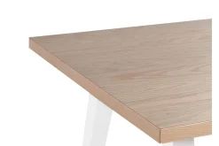 Lenister Matbord 90x150 cm