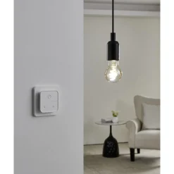 Ljuskälla 2xLM-ZIG-CCT E27 A60 4,9W Amber + Brytare