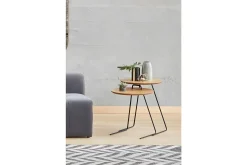 Metis Satsbord