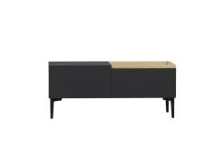 Mijara Tv-bänk 160x37 cm Svart