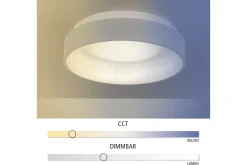 Monetli Taklampa