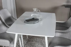 Polar Matgrupp 120 cm Rektangulär med 4 Plaza stolar