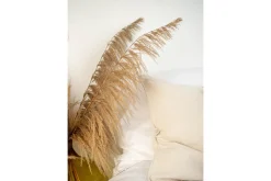 Poster Bohemian 50x70 cm
