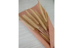 Poster Dry flowers 21x30 cm