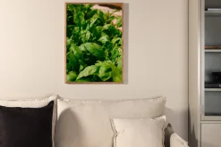 Poster Green leaf 30x40 cm