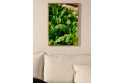 Poster Green Leaf 70x100 cm