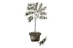 Poster Olive 30x40 cm
