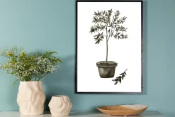 Poster Olive 50x70 cm