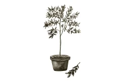 Poster Olive 21x30 cm