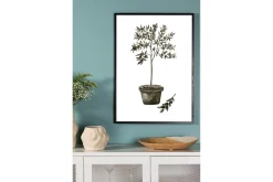 Poster Olive 70x100 cm