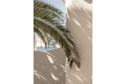 Poster Palmleaf 21x30 cm