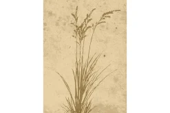 Poster Plant art 70x100 cm