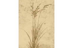 Poster Plant art 21x30 cm