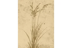 Poster Plant art 50x70 cm