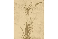 Poster Plant art 30x40 cm