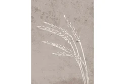 Poster Seeds 50x70 cm
