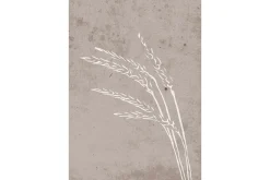 Poster Seeds 21x30 cm
