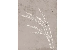 Poster Seeds 30x40 cm