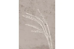 Poster Seeds 70x100 cm