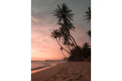 Poster Summer 70x100 cm