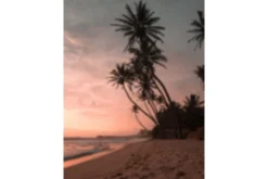 Poster Summer 30x40 cm