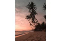 Poster Summer 50x70 cm