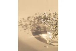 Poster White Flowers 50x70 cm